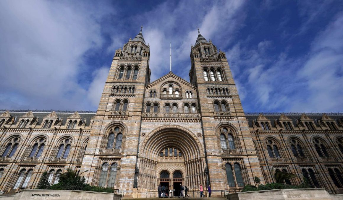 The-Natural-History-Museum-Best-Places-to-Visit-in-London